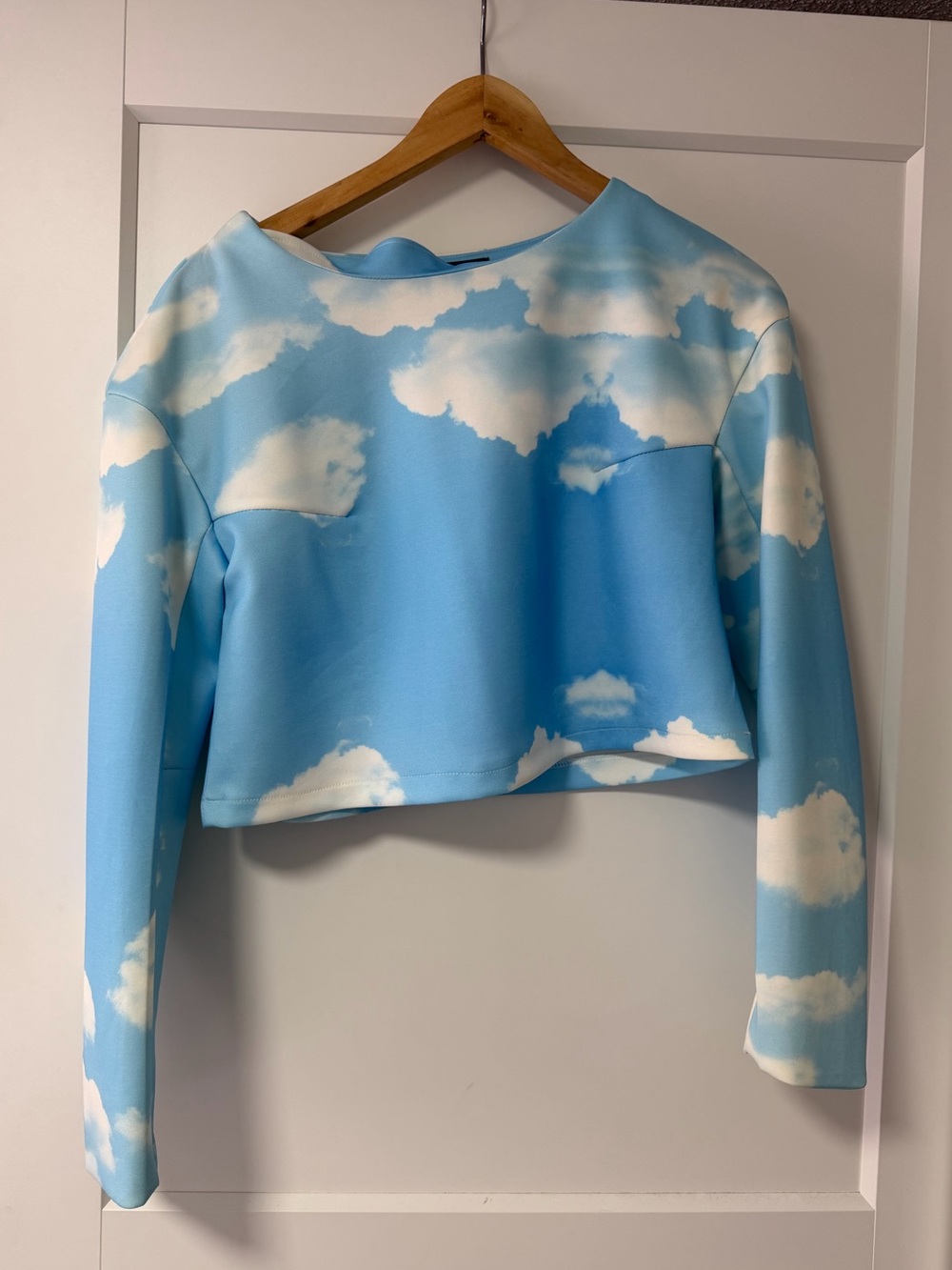 Cloud Print Cropped Long-Sleeve Top and Skirt - Blue
